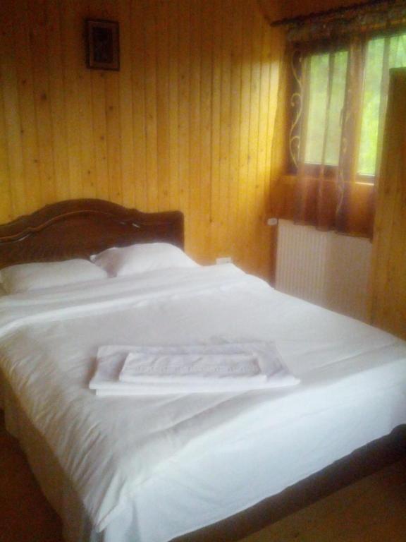 Pensiunea Magdalena Campulung Room photo